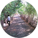 Thuya Mickey profile picture